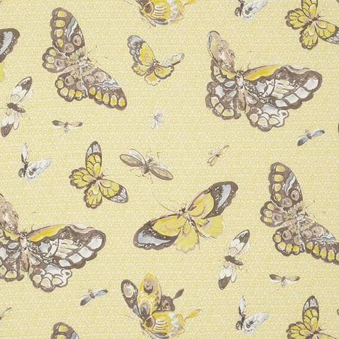 Butterfly House - Lemon