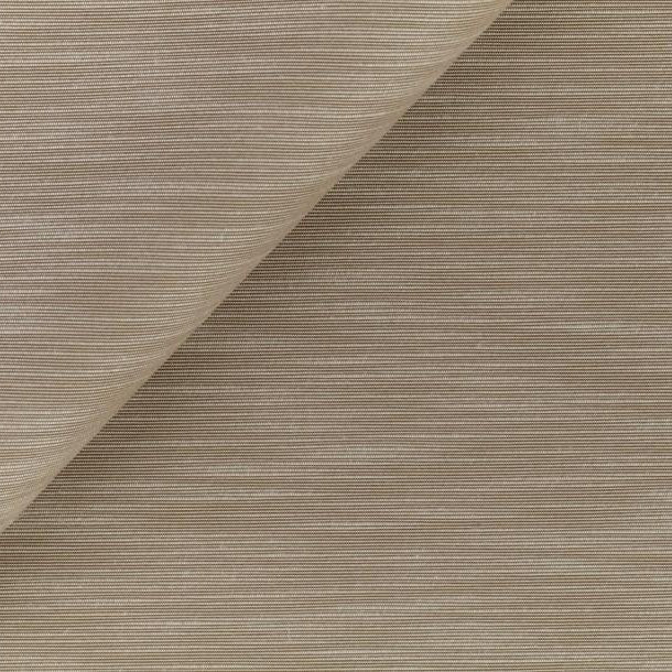 Cosmo - Toasted Almond