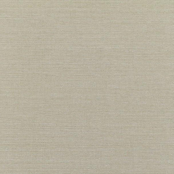 Palawan - Ceylon Ivory