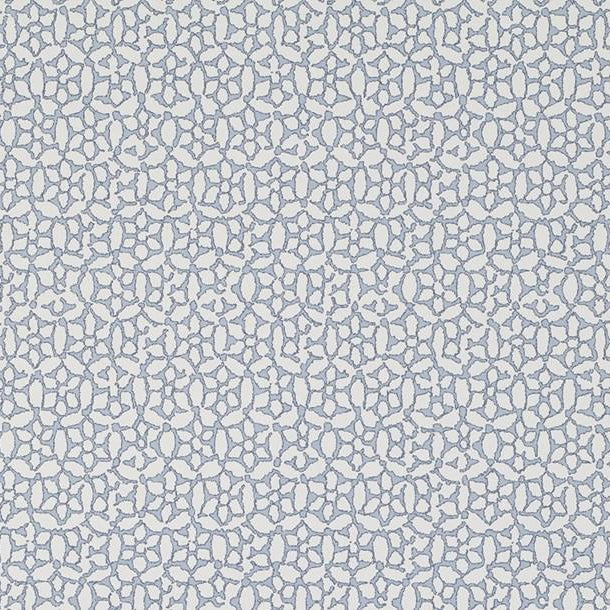 Chinese Daisy - Gulf Stream