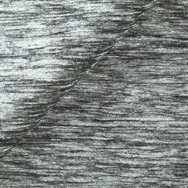 City Lights - Regatta