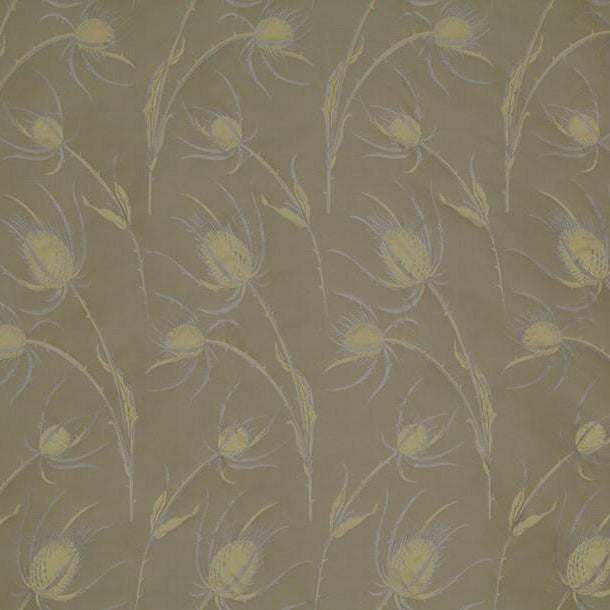 Opium - Northern Star