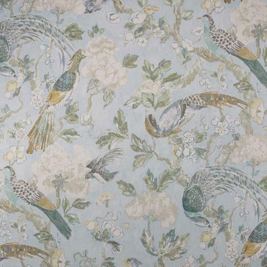 Aviary - Morning Light