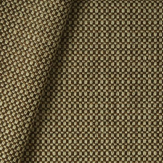 St Kilda - Forest Floor