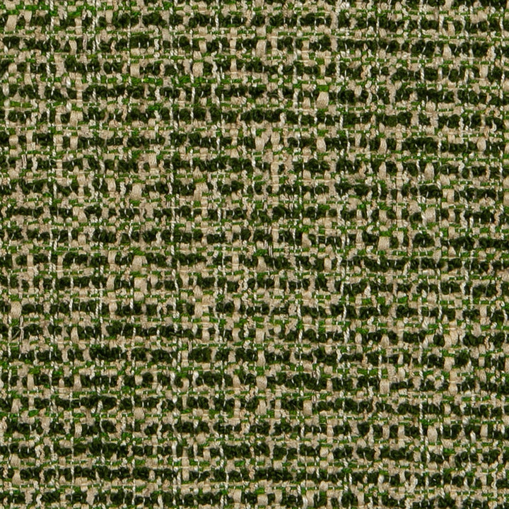 Verbier - Alpine Forest